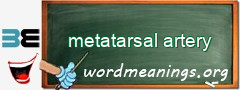 WordMeaning blackboard for metatarsal artery